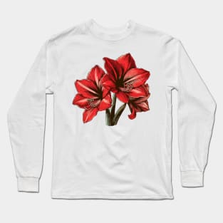 Amaryllis Red Flowers Long Sleeve T-Shirt